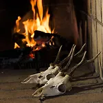 フィルスコブ クロ グランストゥ